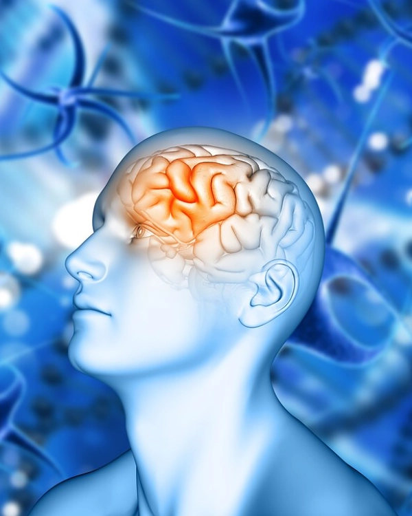 Дневной ЭЭГ диагностирует работу головного мозга