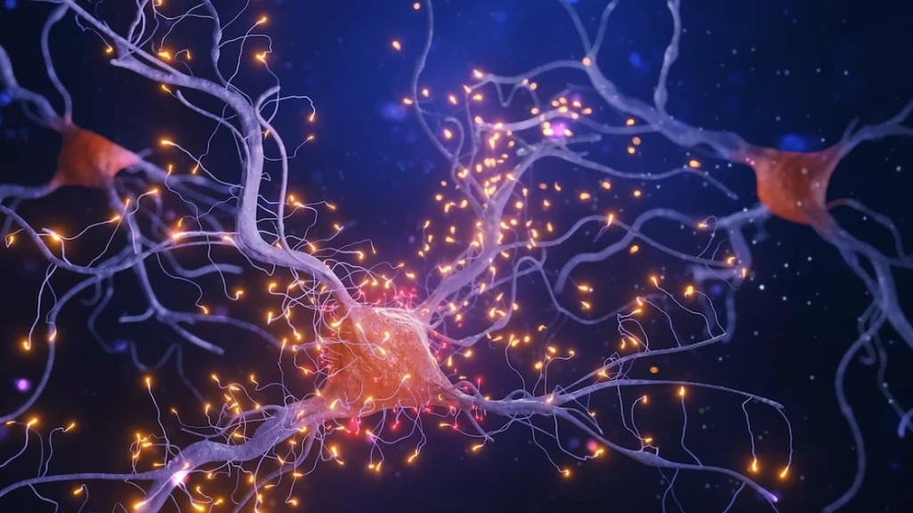 Клетки мозга постоянно взаимодействуют между собой с помощью слабых электрических импульсов